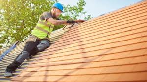 Best Cold Roofs  in Schoolcraft, MI