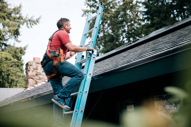 Best Roof Waterproofing  in Schoolcraft, MI